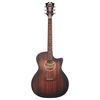 DAngelico Premier Gramercy LS AM