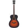 DAngelico Premier Tammany LS SVS