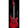Fernandes RXX06 SW
