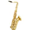 Stephan Weis TS-100G